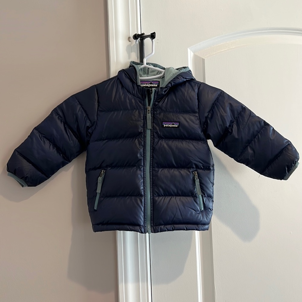 Patagonia Hi-Loft Down Jacket (12-18 months)